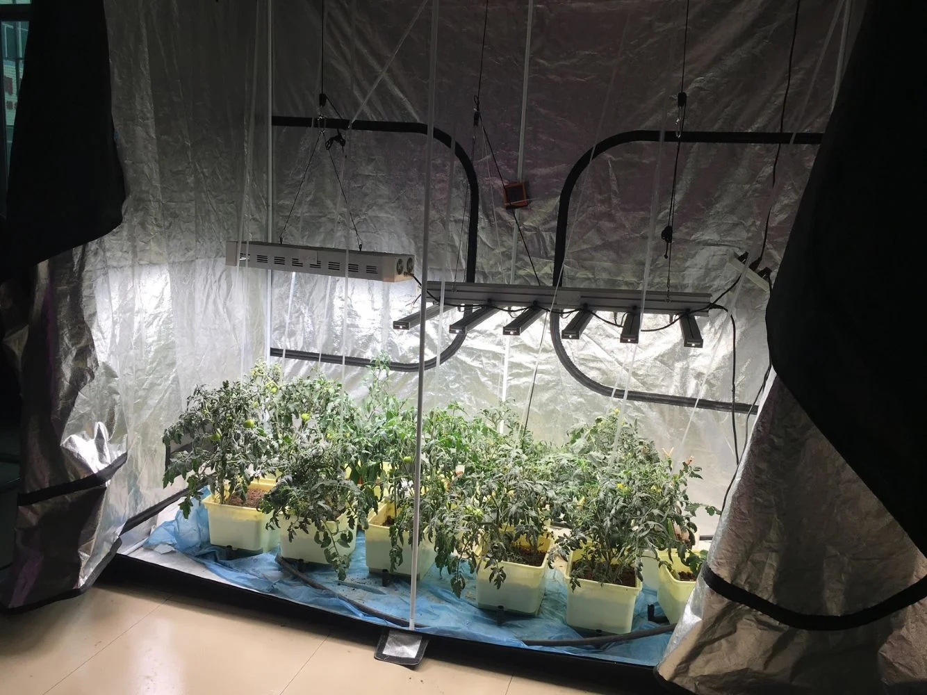 Az86031 Digital Water Quality Meter Dissolved Oxygen Tester Ph Meter Ph Conductivity Salinity Temperature Meter With Ph Meter