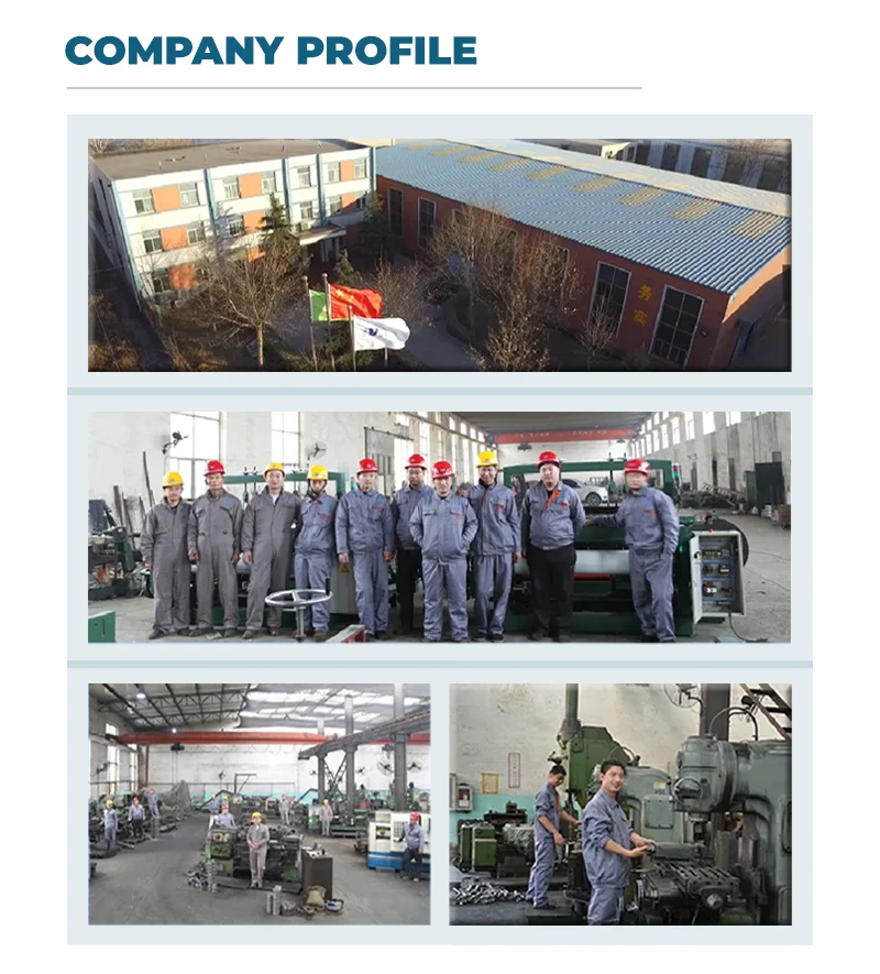 Company Profile