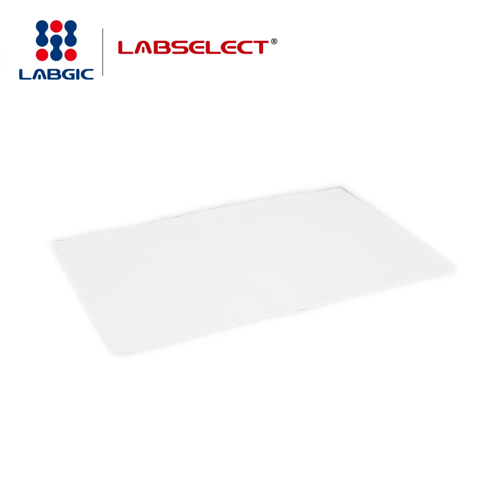 Hot sale Nitrocellulose Transfer Membrane, 0.22um for 45b use