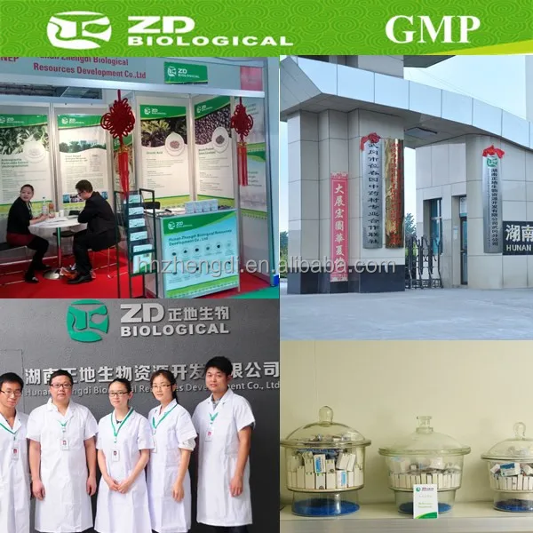 Plentiful  Protein Carbohydrate Vitamins Animo Acid Plant  Platensis Wholesale Spirulina Supplement Tablets