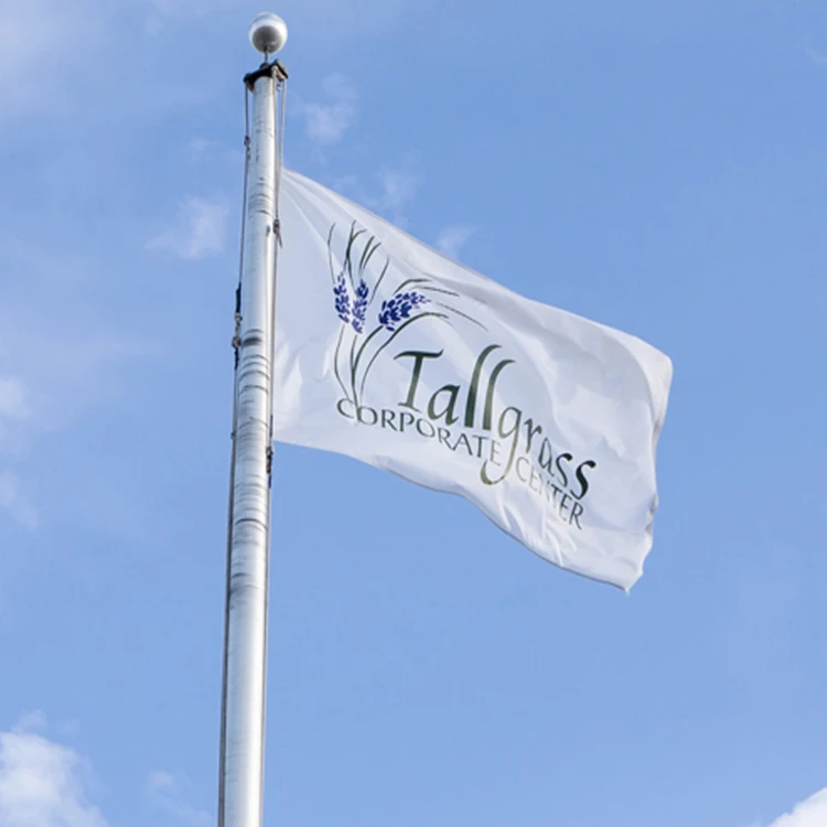 Customized Flags 3x5ft Double-Sided 100% Polyester Blank Logo Outdoor Flying Screen Printing Banners 3x5 Custom Flag