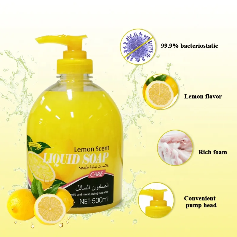 Natural Plant Oil Moisturizing Hand Wash Liquid Soap 500ML