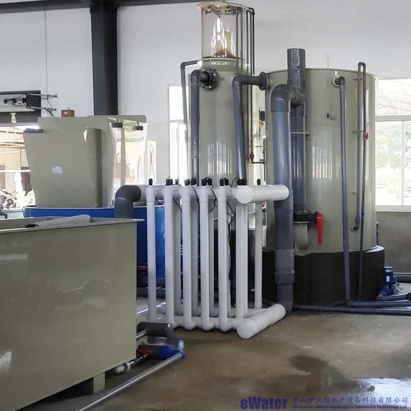 Tilapia Koi Fish Shrimp Indoor Farming Equipment Ras Aquaculture System With Drum Filter Protein Skimmer for Pond or Aquarium