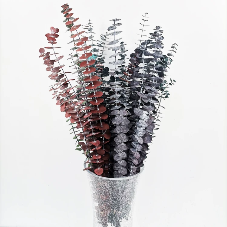 summer flora Original color wholesale Dried natural flower stem for New Year decoration preserved flower eucalyptus