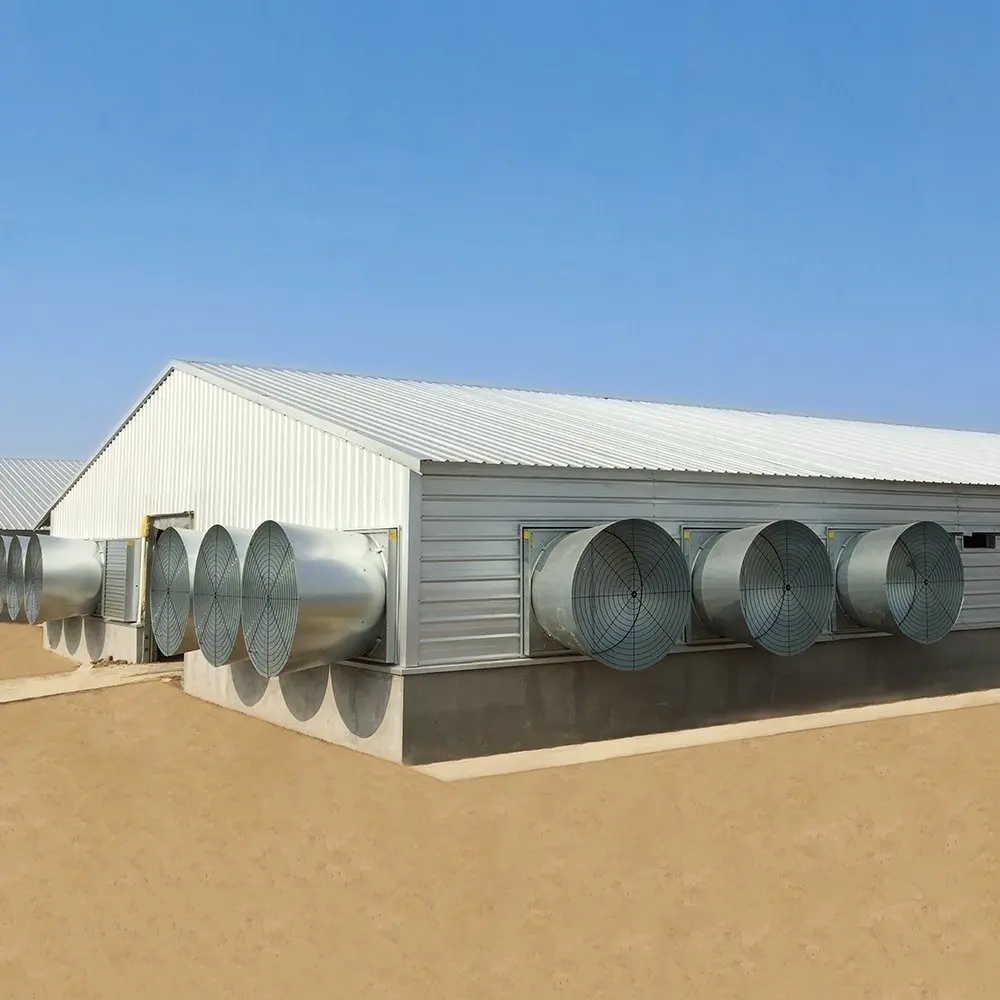Poulailler Pour 10000 Poulets De Chair Industriel Layer Egg Chicken Cage Poultry Farm House Design Steel Structures