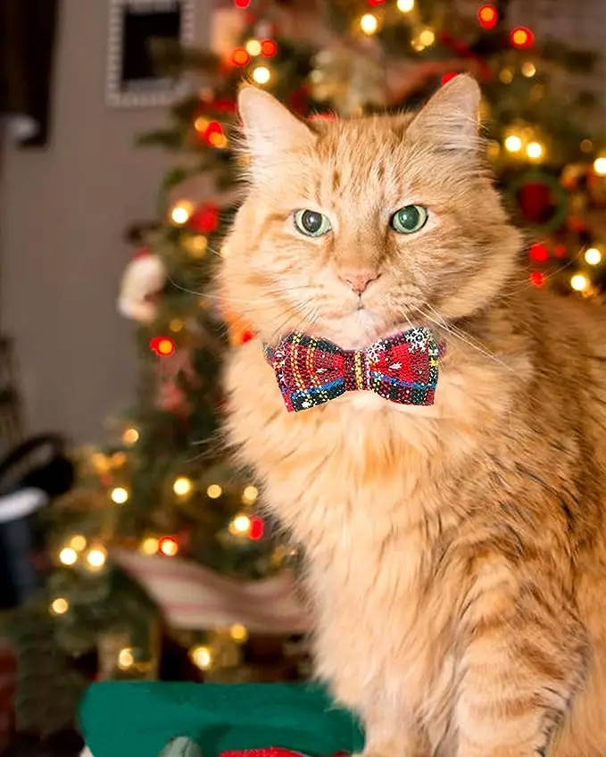 High Quality Comfortable Soft Cat Collar With Bell And Bow Tie Quick Release Safety Collar For Kitten And Cats Tartan Pet Collar