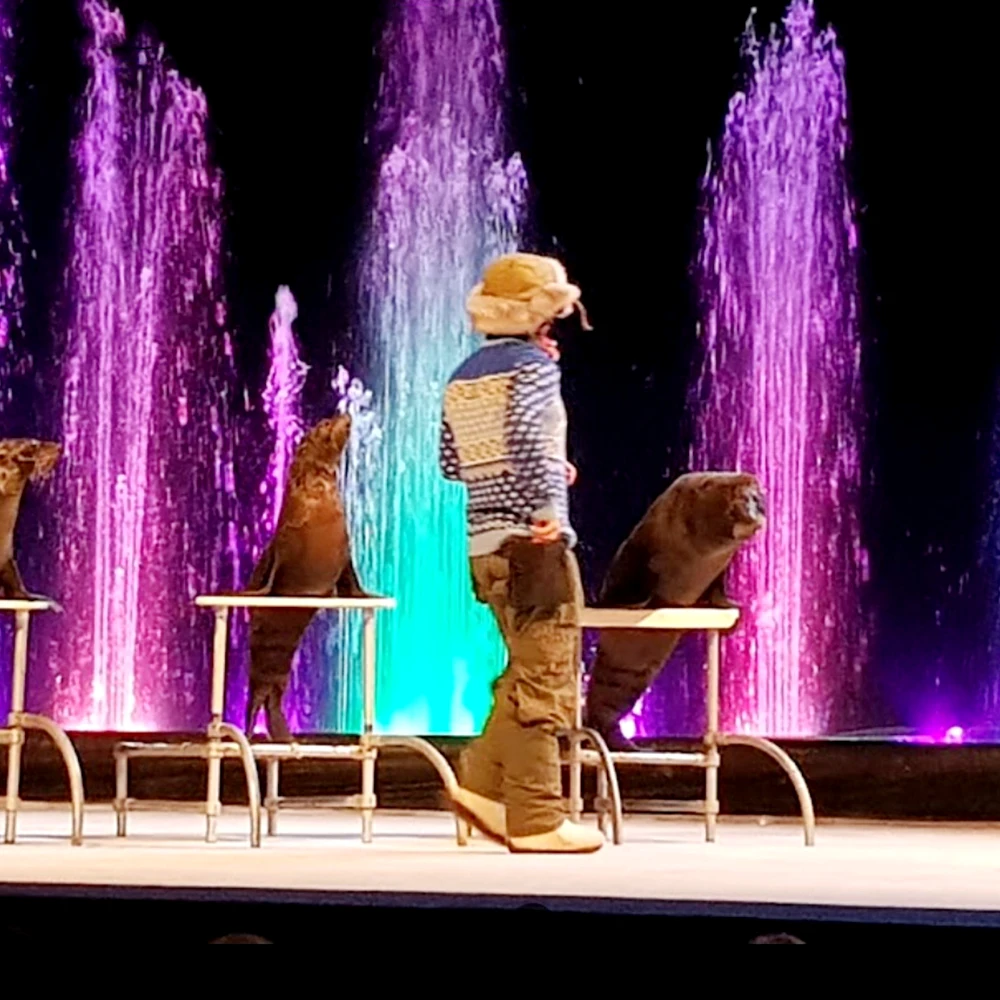 AWS Custom Design Modern Dance Music Fountain Controller Fountain With Colorful Led Light Fountain Pump