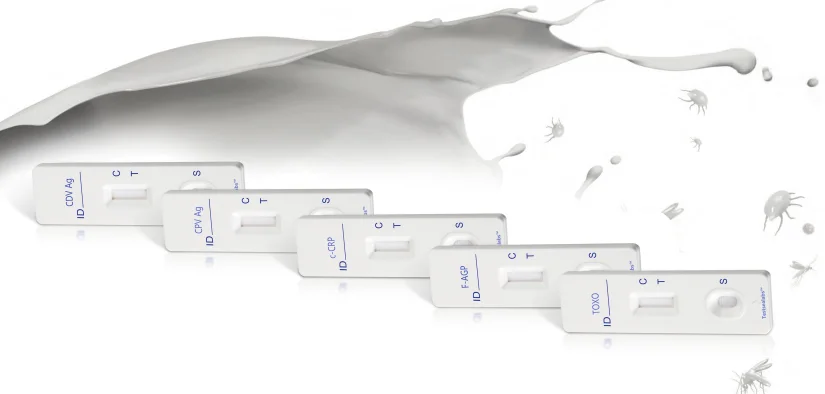 
Testsealabs Vet Diagnostic Rapid Test African swine fever virus Test kit operation/affordable price/Accurate result 