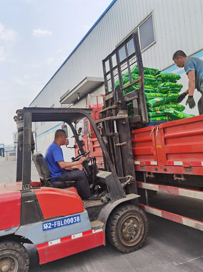  wholesale slow controlled release fertilizer NPK trace element particles Nitrogen