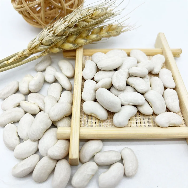 Large White Kidney Beans Hot Selling New Crop big White Kidney Beans Bulk Factory Price
