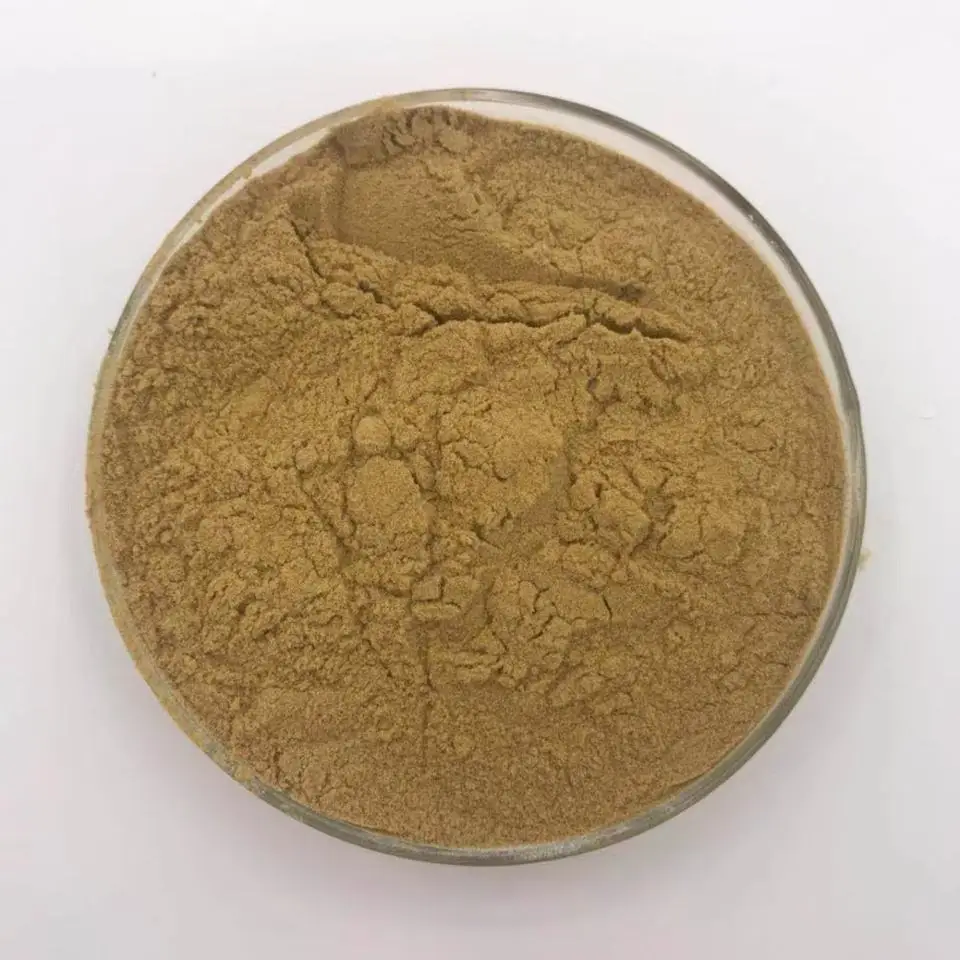 Factory supply organic Mimosa Pudica root Extract Powder