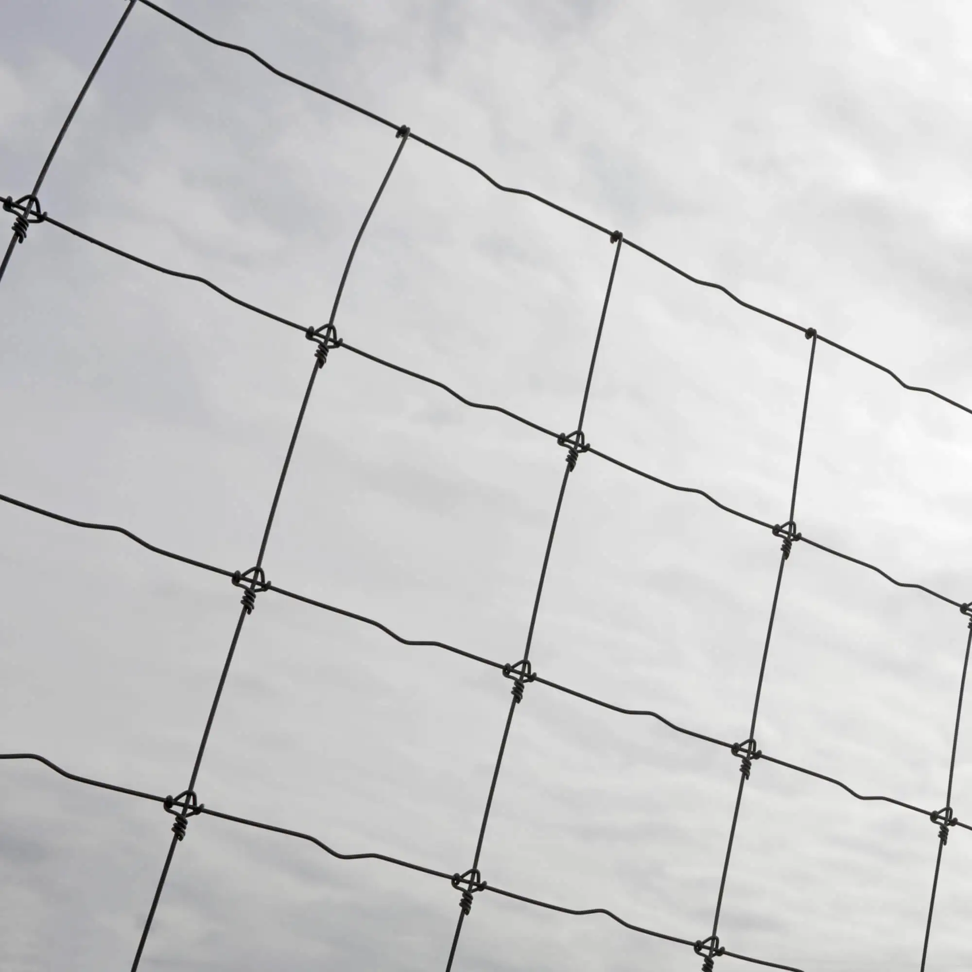 Hot Sale Galvanized Steel Deer Horse Fence Cattle Goat Farm Fence deer netting