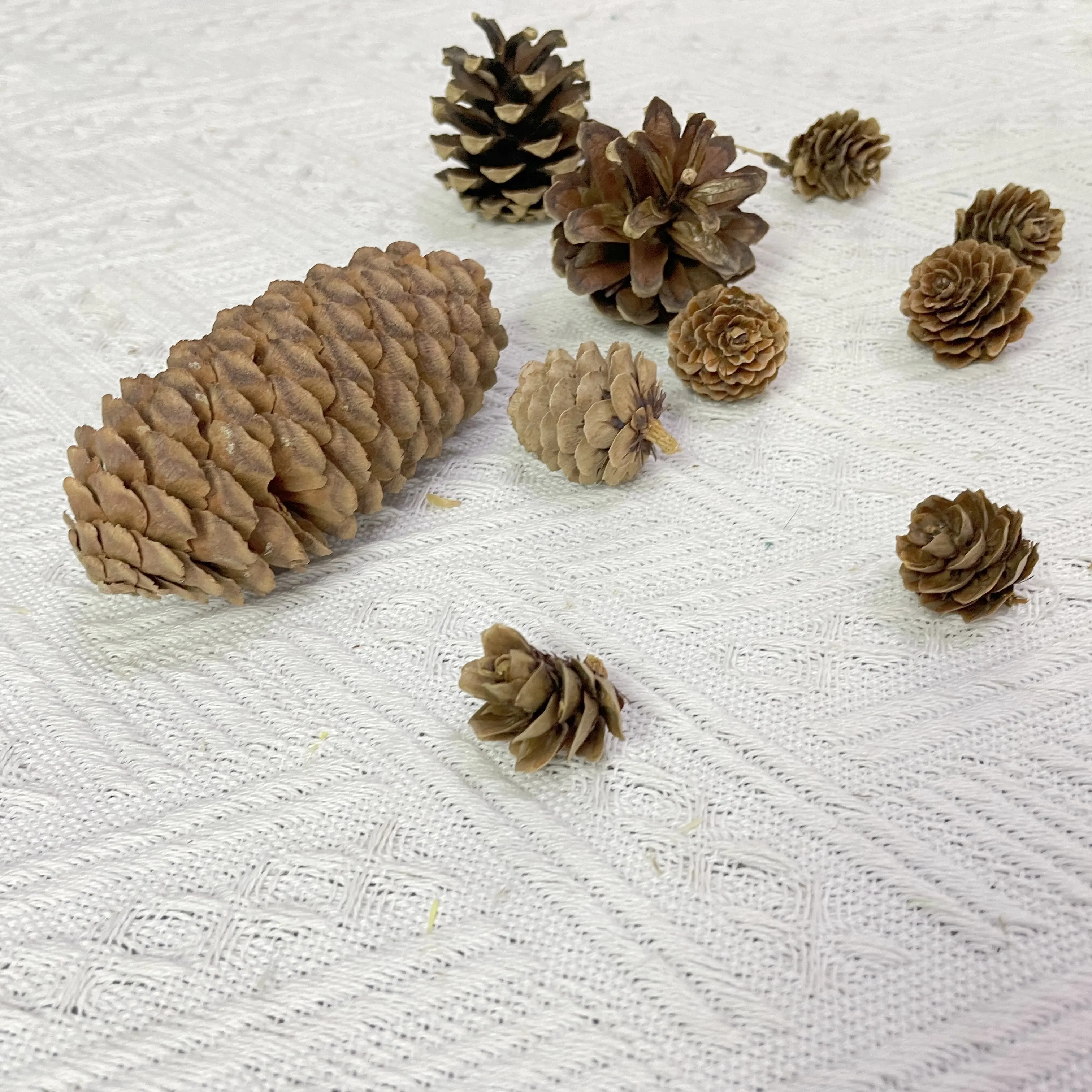 natural wood real pine cone christmas tree decoration hanging tree