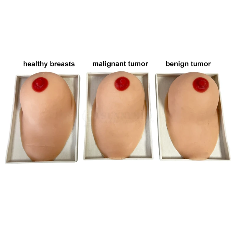 SY-NO7E дешевая модель обследования груди для медицинского образования