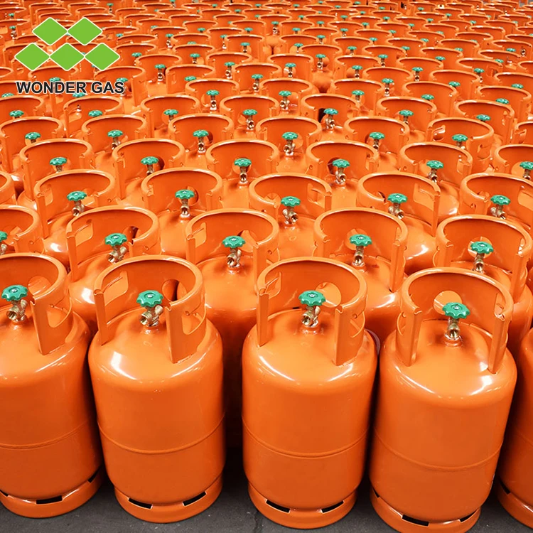 Wholesale 6kg 14.4L LPG Gas Cylinder, Portable LPG Gas Tank