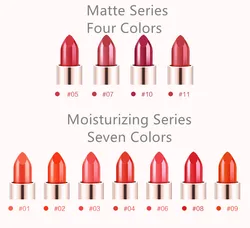 Matte Lipstick Long Lasting High Pigmented Waterproof 4 Colors Lip Gloss Kit For Lips Makeup