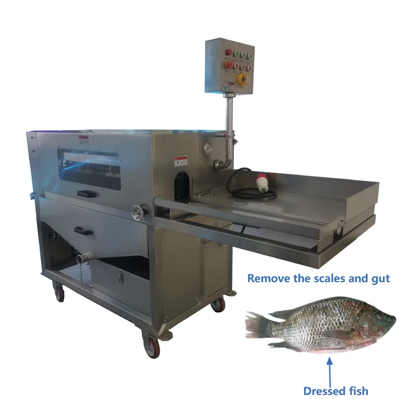 Fish processing machine CE certificate fish scale removing machine for sale
