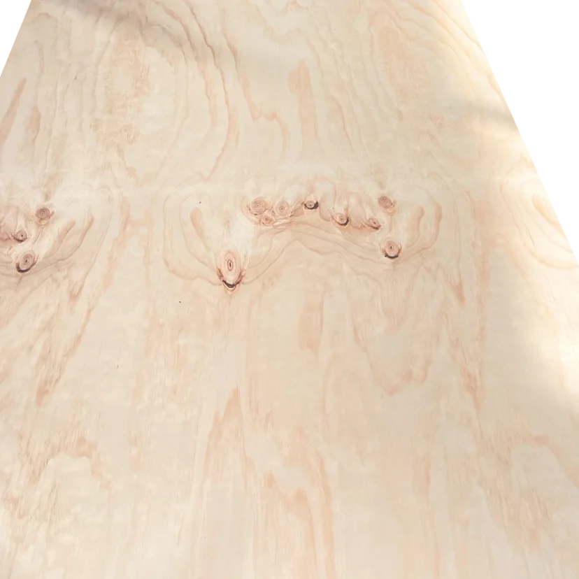 China Factory 1220*2440mm 12mm CDX Pine Plywood for Construction
