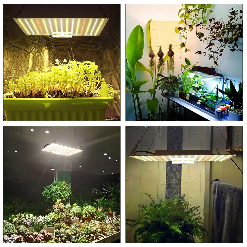 С регулируемой яркостью LED Grow Light 1200W 1500W Samsung LM281b + диоды для подавления переходных скачков напряжения полный спектр лампа растений высокая PPFD комнатных гидропоники