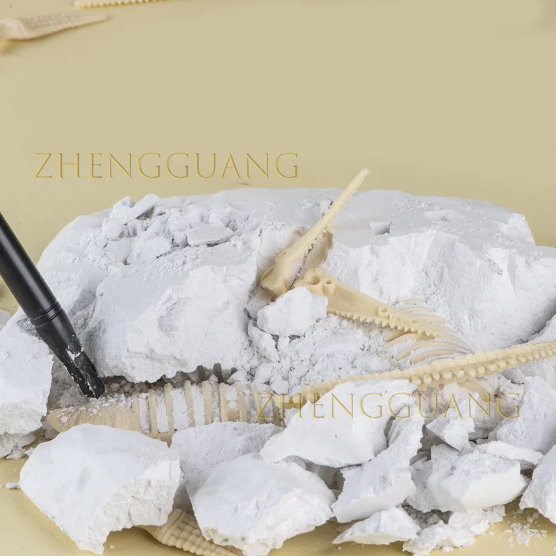 Zhengguang Dinosaur Dig Kit for Kids Dino Fossil Skeleton for Children Excavation Science Education DIY Toys