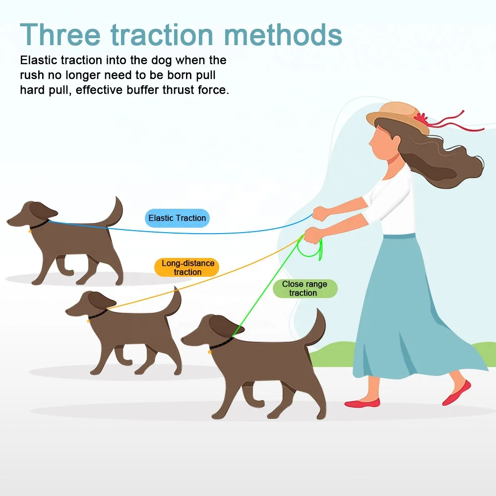 High Quality Elastic Dog Leash With Car Seatbelt Buckle Pet Leash With Handle For Medium Large Dogs Nylon Dog Leash