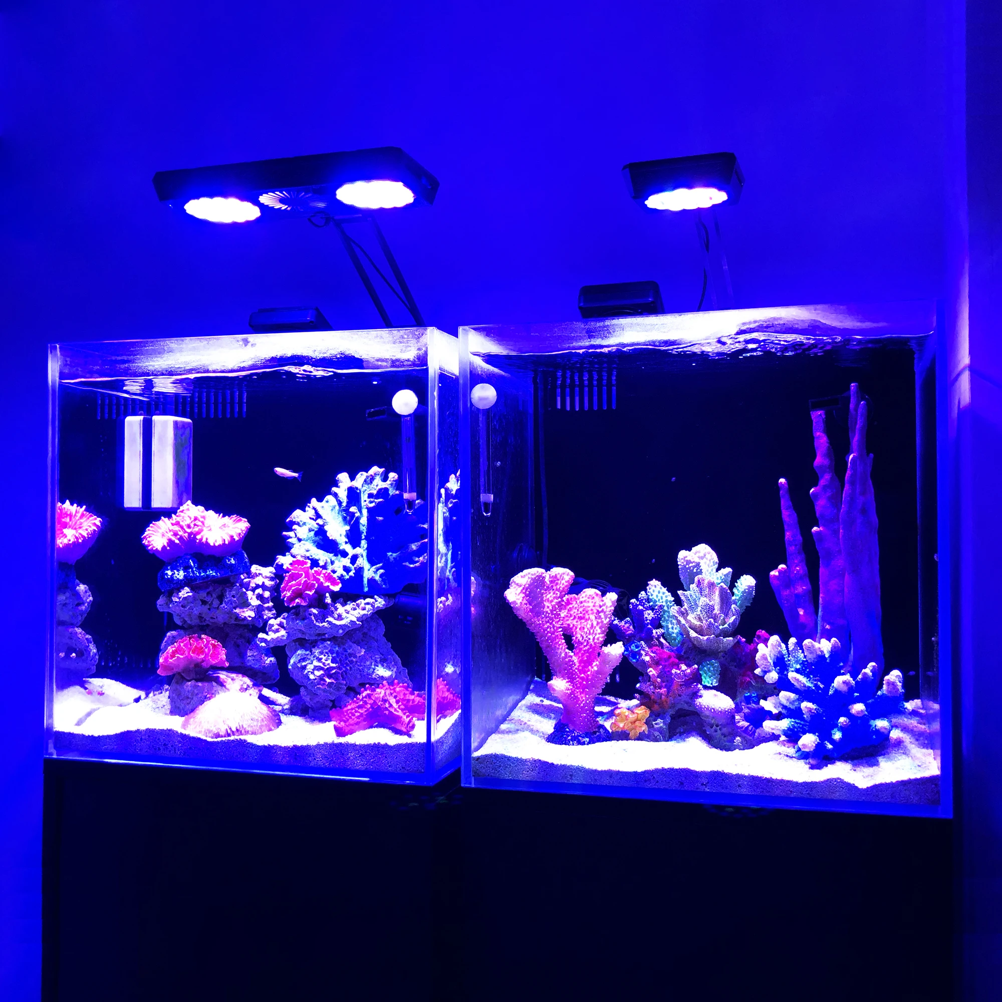 2023 Hot-selling MICMOl Thor Pro planted marine Reef  Blue UV remote App Control LED Aquarium Light for  Aquarium Aquascaping