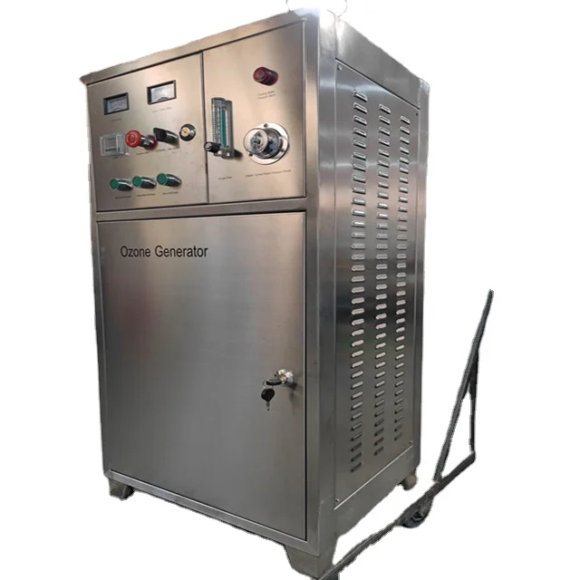 OZOTEK 50G Portable Ozonizer Aquarium Ozone Water Purifier Drinking Ozonator Machine Price