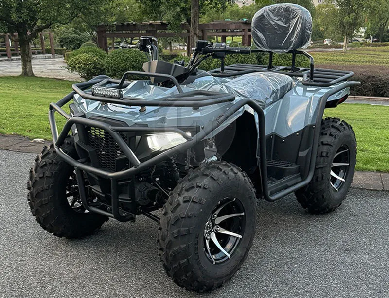 350cc China Snowmobile With 80km/h Speed Electric Snow Scooter Snowmobile Hot Selling