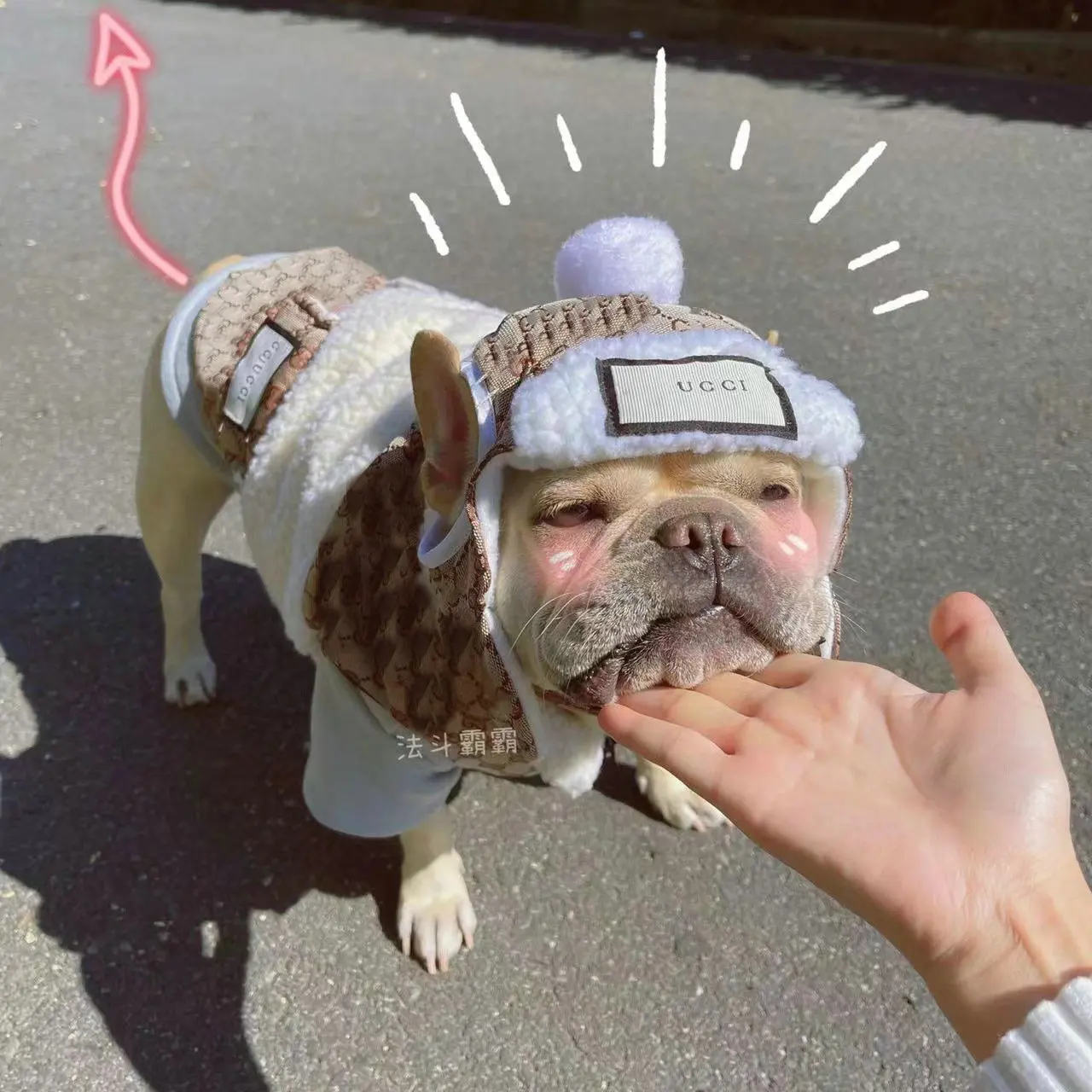 JXANRY Luxury Pet Skiing Jacket Dog Autumn Winter Fashion Warm Coat Teddy Thick Fur Cloth Cotton French Bulldog Winter Outing