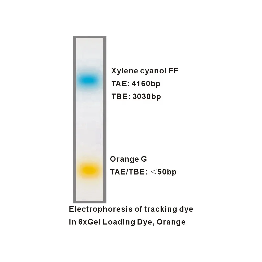 6x Gel Loading Dye, Orange, DNA loading buffer, M9061 1ml x5