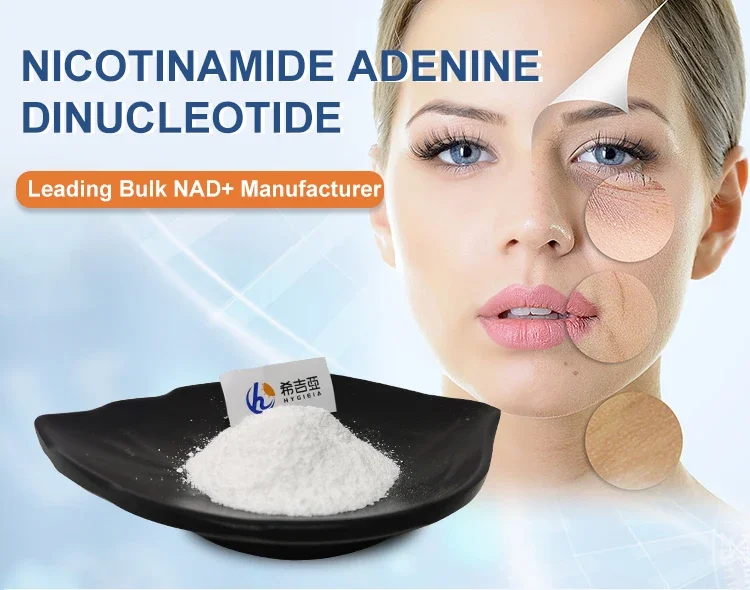 NAD Nicotinamide Adenine Dinucleotide Powder Bulk for Anti-Aging Supplement