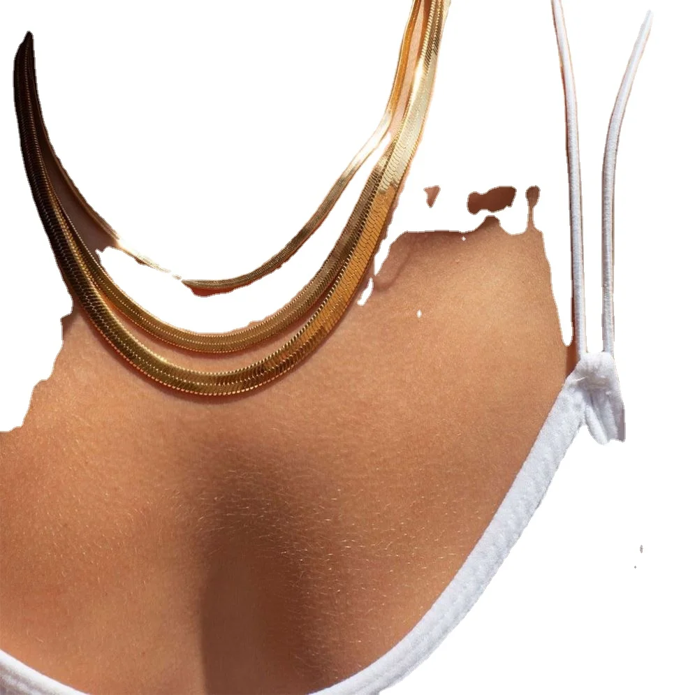 Trendy 14k Gold Plated Stainless Steel Necklace Flat Snake Chain Clavicle Blade Necklace Jewelry for Hip Hop Accessories