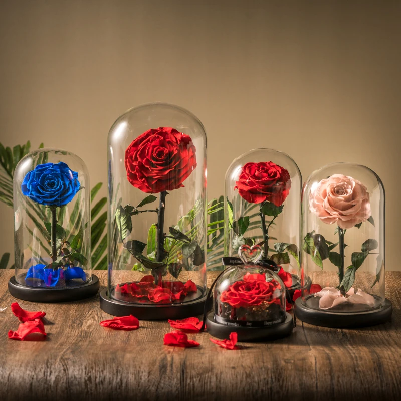 wholesale real eternal rose in Led Light Glass Dome high quality preserved Rose Perfect Birthday Valentines Day Gifts