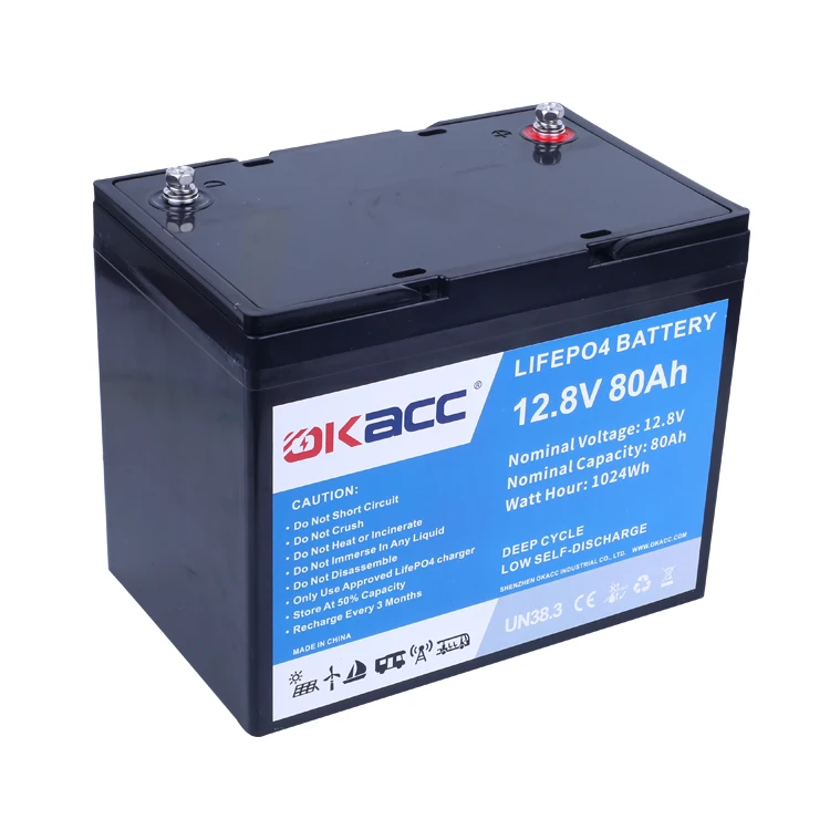 Professional Manufacturing Rechargeable Lithium Ion Car Battery 12V