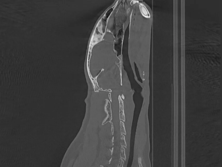 IN-VCT03 Veterinary Ct Scan Machine  Radiology Equipment Medical Pet Hospital Used 32 Slice Vet Dog Ct Scanner For Animal