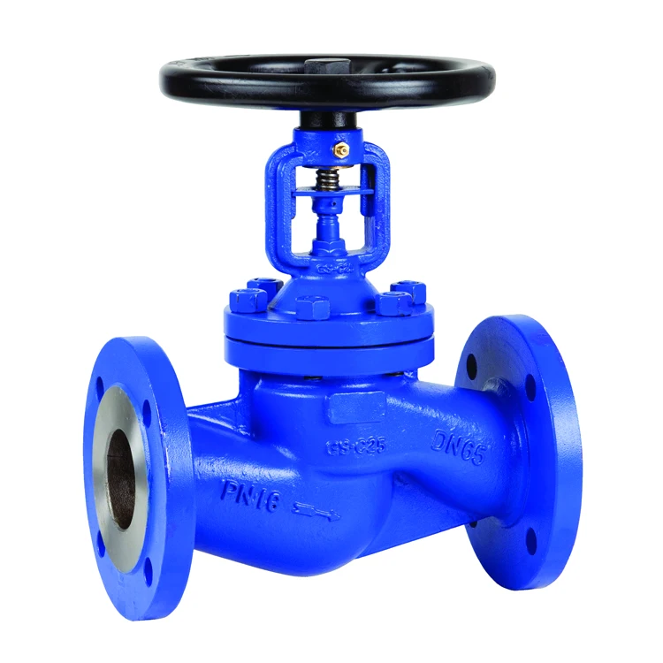 SDNR GS C25 DIN DN50 PN40 Bellows Seal Manual Globe Valve from China