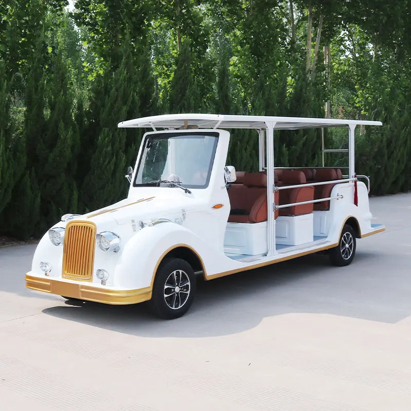 48/72V New Style Modern Fashion 2024 Brand Design Vintage Car Electric Lithium Battery Golf Buggy