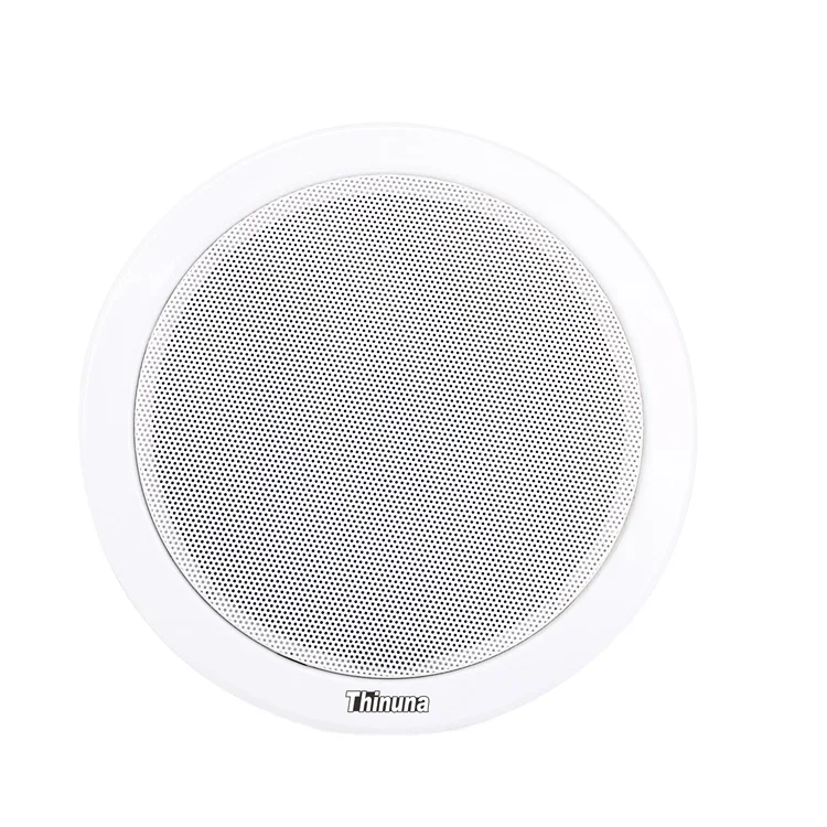 CS-205A Cheap PA 6.5 inch Full Range Invisible Speaker Inside Walls Low Profile Surface Install Unseen In Ceiling Loudspeaker