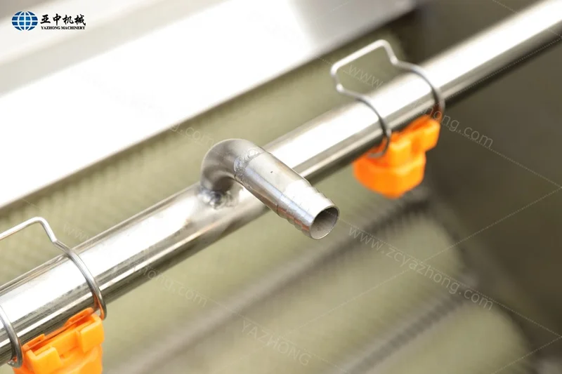 high capacity production line of carrot sweet potatoes walnut brush washing machine