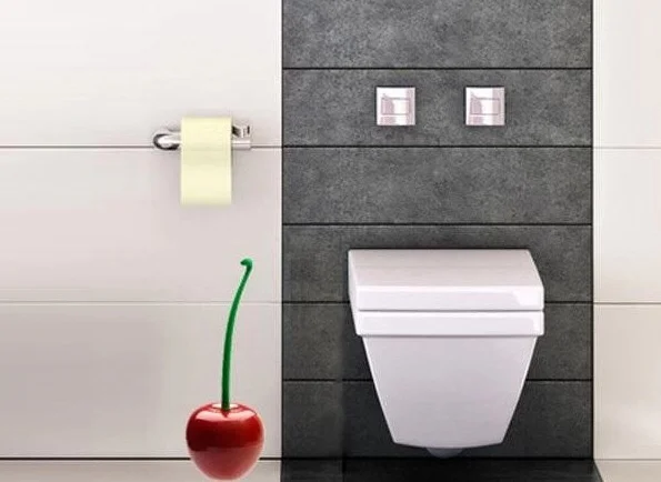 Creative Lovely Cherry Shape Lavatory Brush Toilet Brush & Holder Set Mooie Cherry Vorm Toilet Borstel