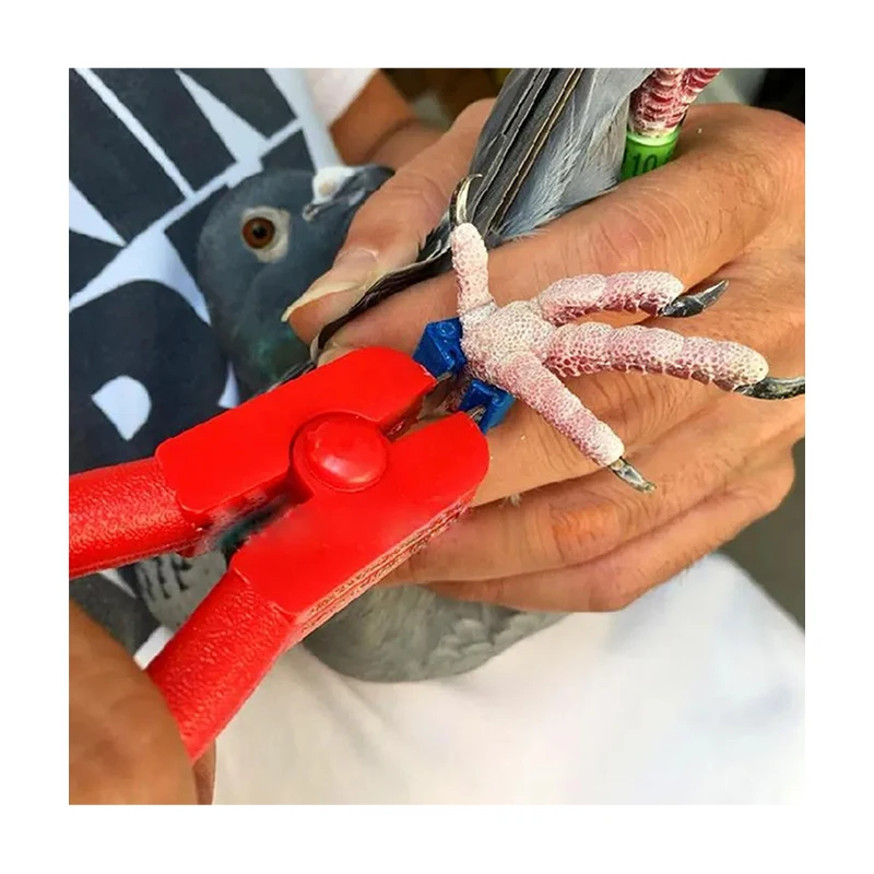 Multi Function Disassembly Bird Parrot Foot Ring Tool Poultry Leg Rings Open Loop Pliers