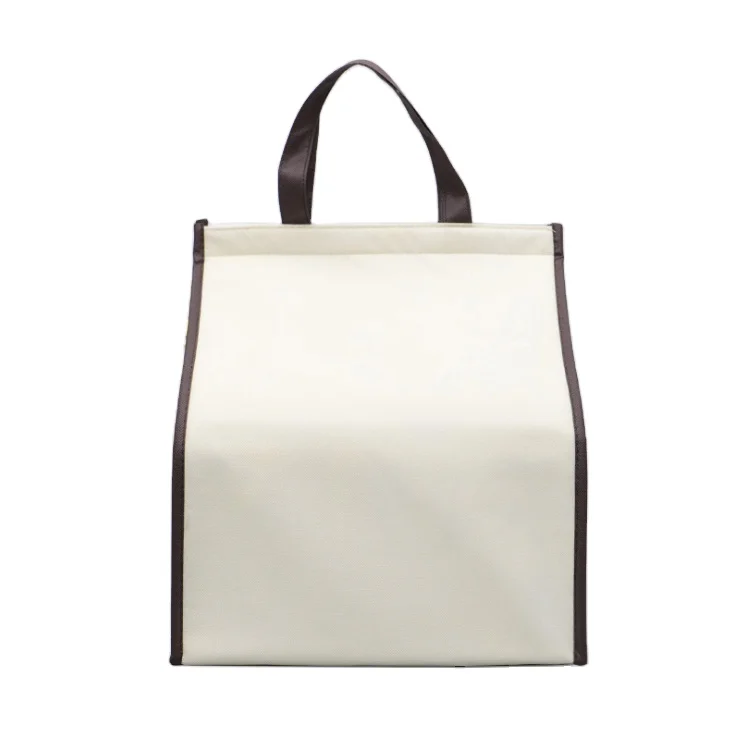 Wholesale Fashion Durable Pouch Tote Promotional Cake Food Ice Cream Insulated Pp Non Woven Cooler Bag