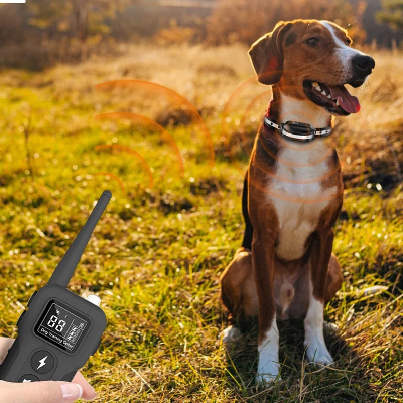 Yonghe Chinese factory tops pet products 1000 m remote hunting dog training collar for 2 dogs