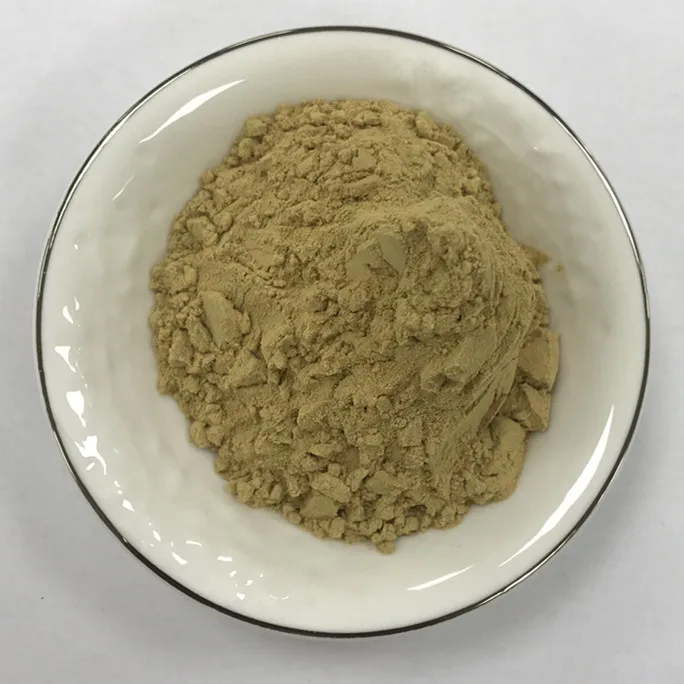 Hot sale Hesperidin 90% 95%  Citrus Peel Extract