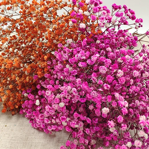 200g/pack Wedding home hotel decoration potpourri dried flowers dry mini gypsophila babysbreath flowers dried gypsophila