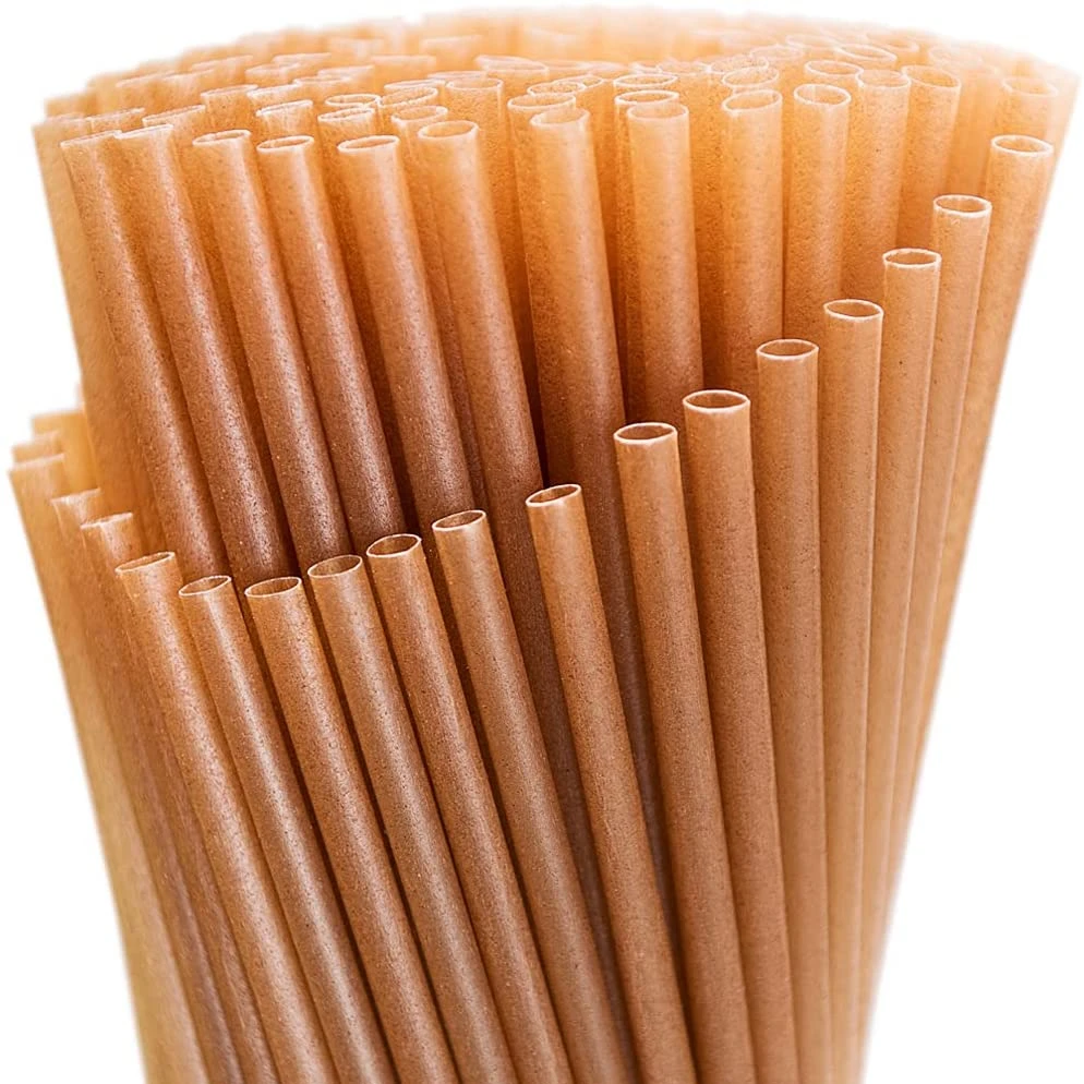 600pcs Sugarcane Straws 8 Inch Compostable Straws Biodegradable Eco-Friendly Drinking Straws