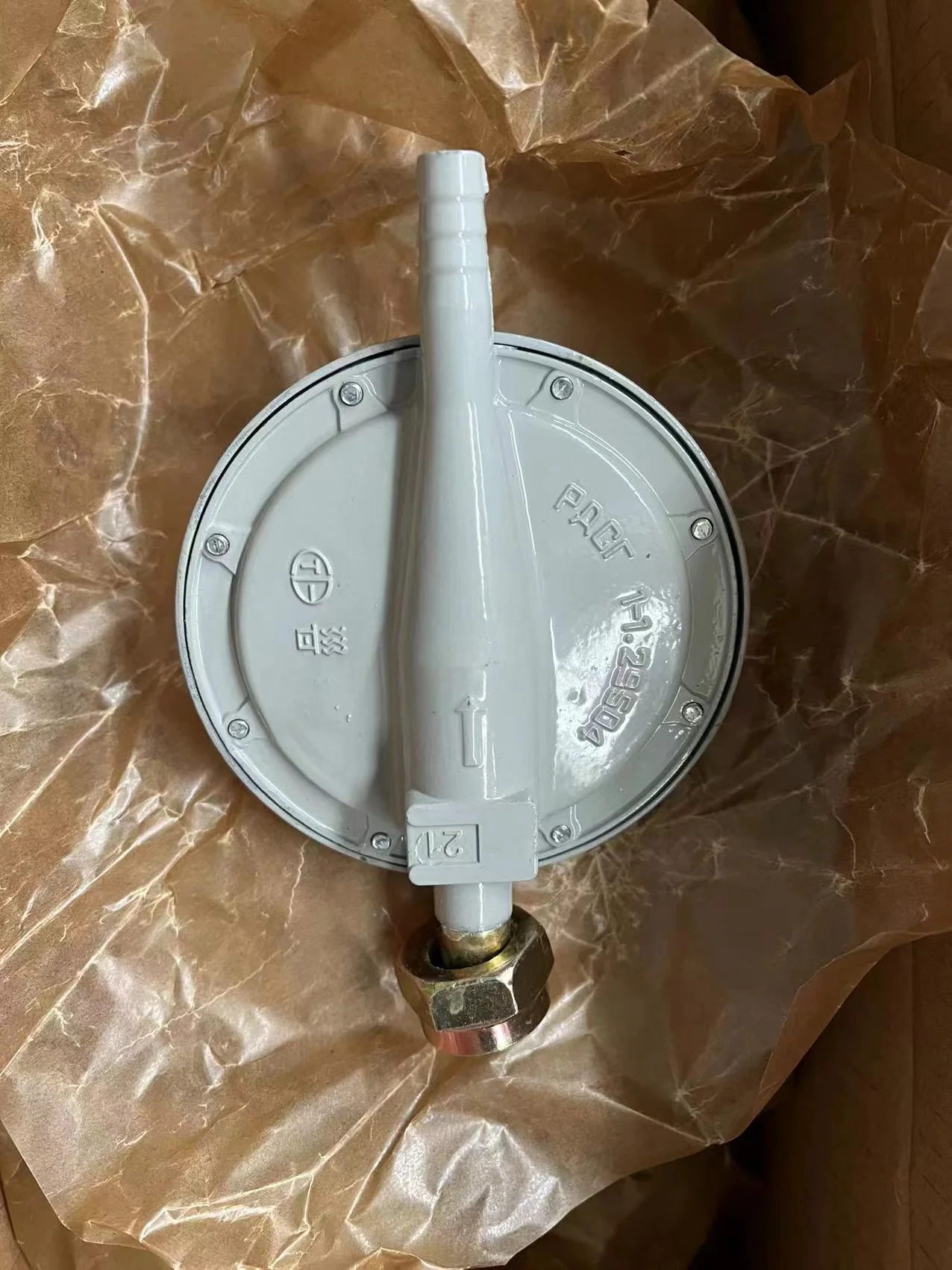 Ukraine RUSSIA middle ASIA Market  hot selling  pressure reducer ZJ-R01 Lpg low pressure gas  regulator