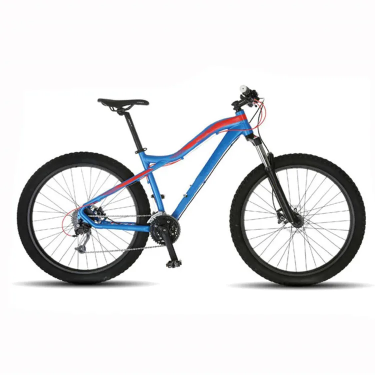 Good Selling Products Mountain bicycles mountainbike MTB BMX Speed21 Bicicletas Aro 29 LUCHEN Bike Bicycle