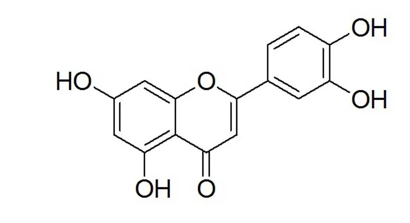 bud of japanese pagoda tree Flos Sophorae Sophra japonica extract Lonicerin sapindoside 1% - 98%