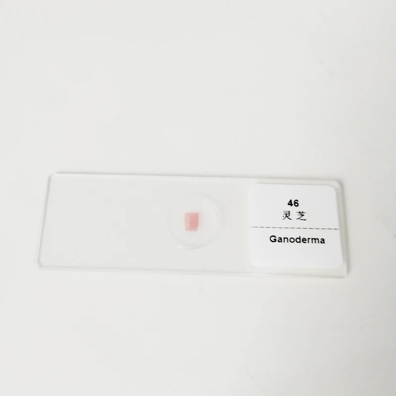 Микроскоп подготовленные слайды Обучающие грибы подготовленные слайды микроскопа набор слайдов для микробиологии бактерий